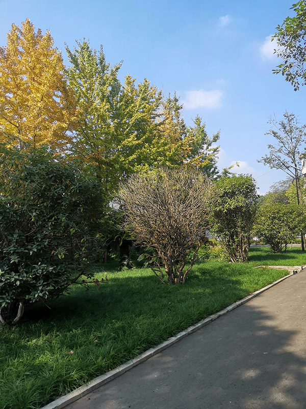 赢博yingbo(中国)