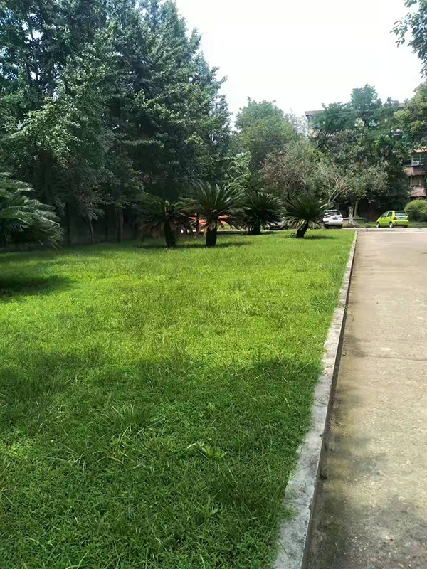 赢博yingbo(中国)